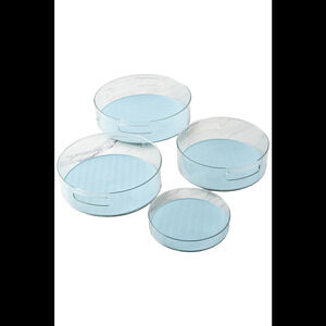 C e ll a 4-Piece Clear Turntable Set with Removable Liners